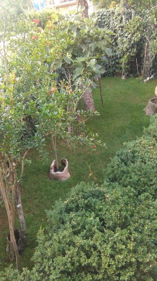 Apartman Bokula Novi Vinodolski Zewnętrze zdjęcie